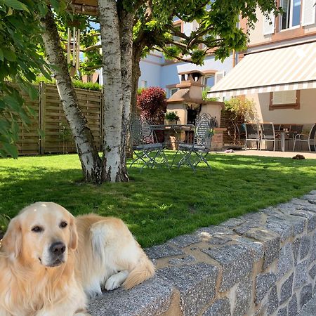 Chez Michele Et Philippe Apartment เมาสแตร์ ภายนอก รูปภาพ