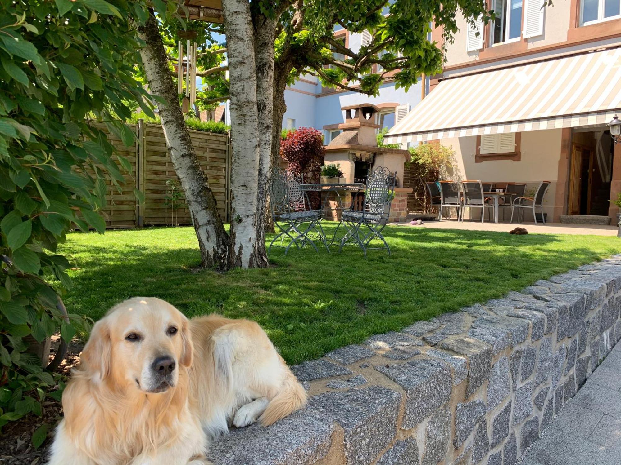 Chez Michele Et Philippe Apartment เมาสแตร์ ภายนอก รูปภาพ